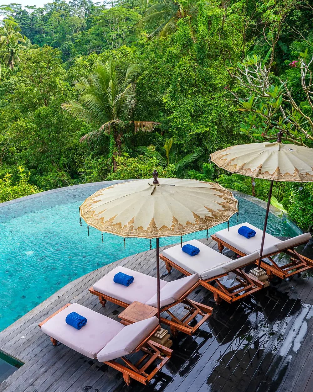 A jungle pool above Ubud