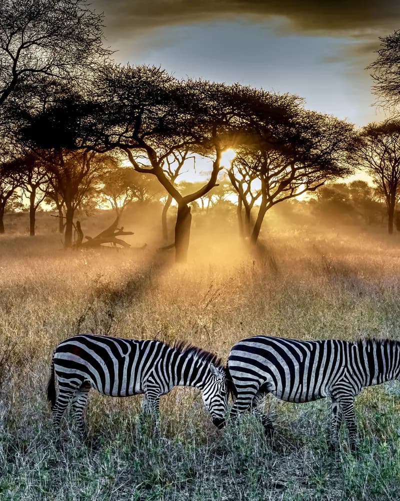 Kenya