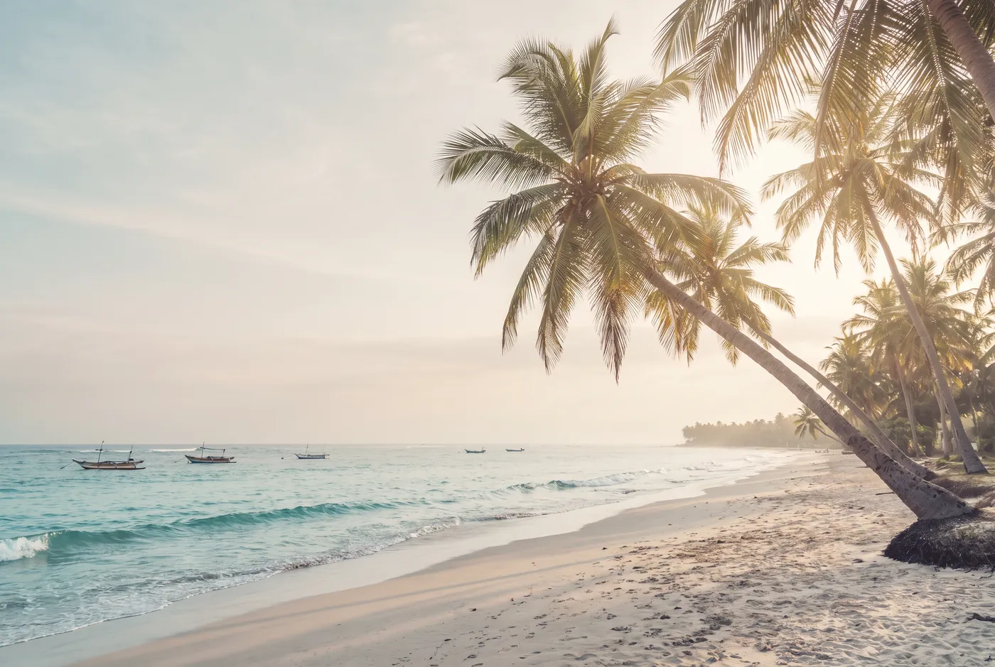 A calm, palm-fringed beach on Sri Lanka's east coast, at its best from May to September